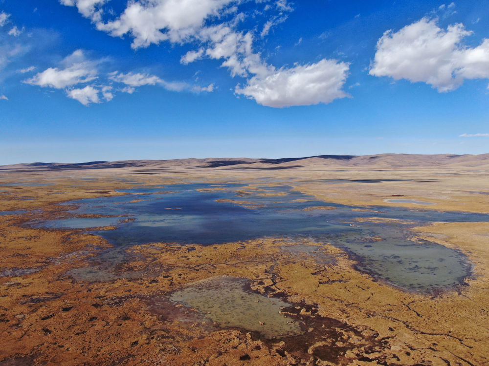 这是2020年10月30日在青海省果洛藏族自治州玛多县境内拍摄的湿地（无人机照片）。